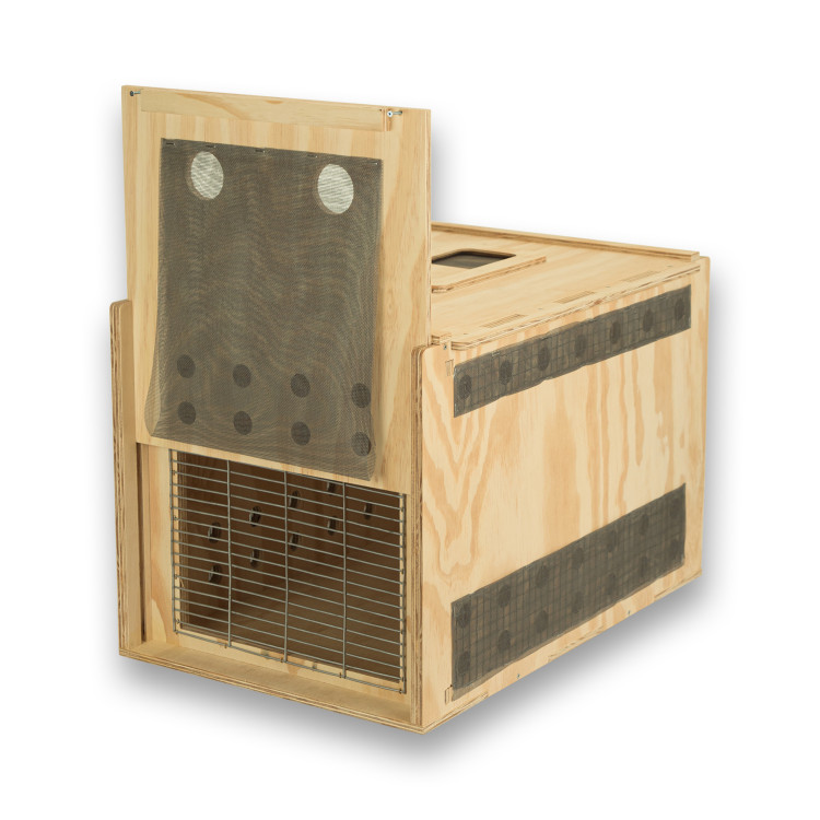Transportín de madera Air Export Calm 60 para Aves Rapaces
