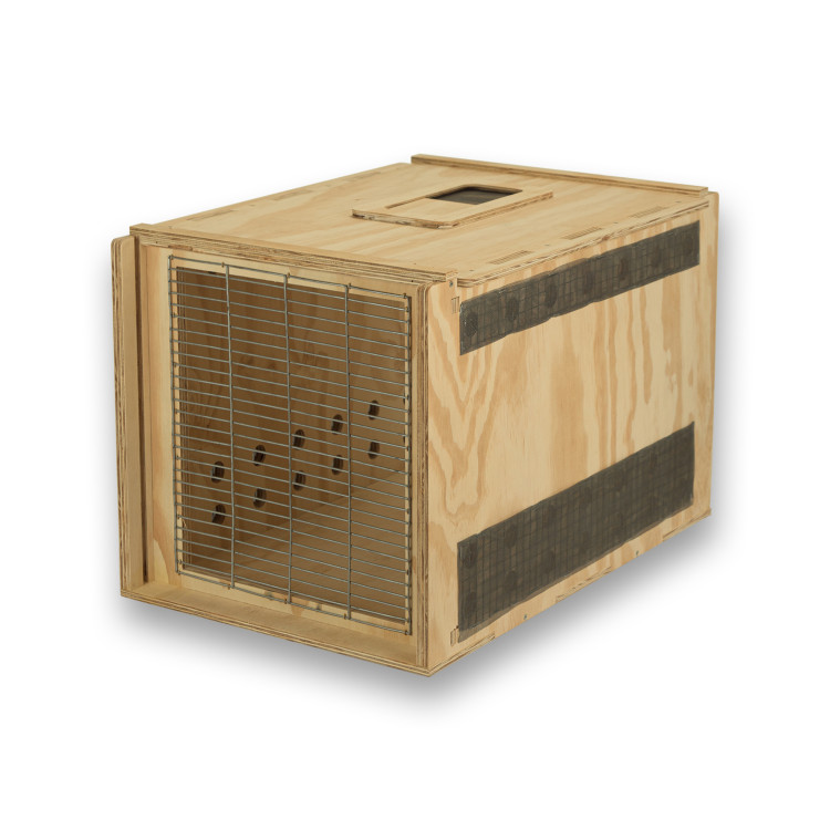 Transportín de madera Air Export Calm 60 para Aves Rapaces