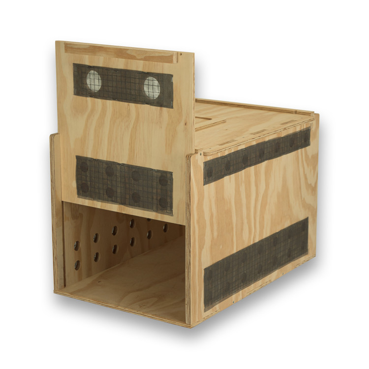 Transportín de madera Air Export Calm 60 para Aves Rapaces