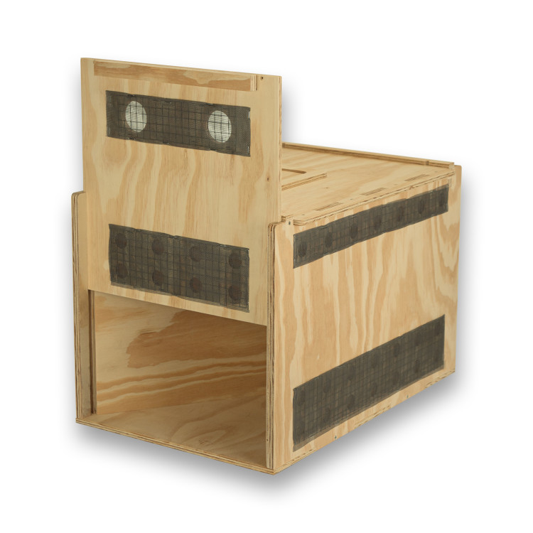 Transportín de madera Air Export Calm 60 con divisor para Aves Rapaces