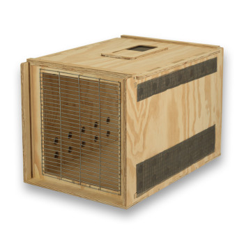Transportín de madera Air Export Calm 75 para Aves Rapaces