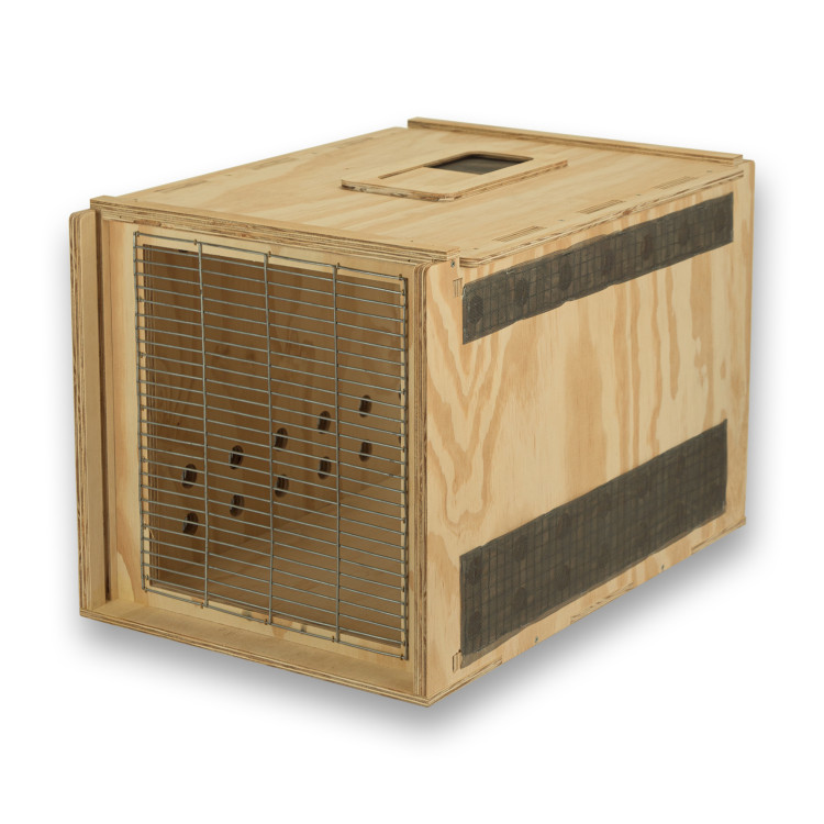 Transportín de madera Air Export Calm 75 para Aves Rapaces