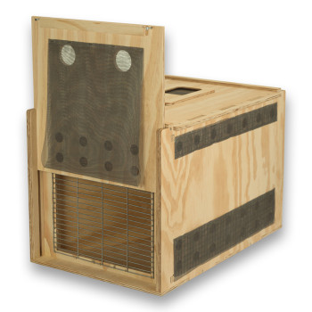 Transportín de madera Air Export Calm 75 con divisor para Aves Rapaces