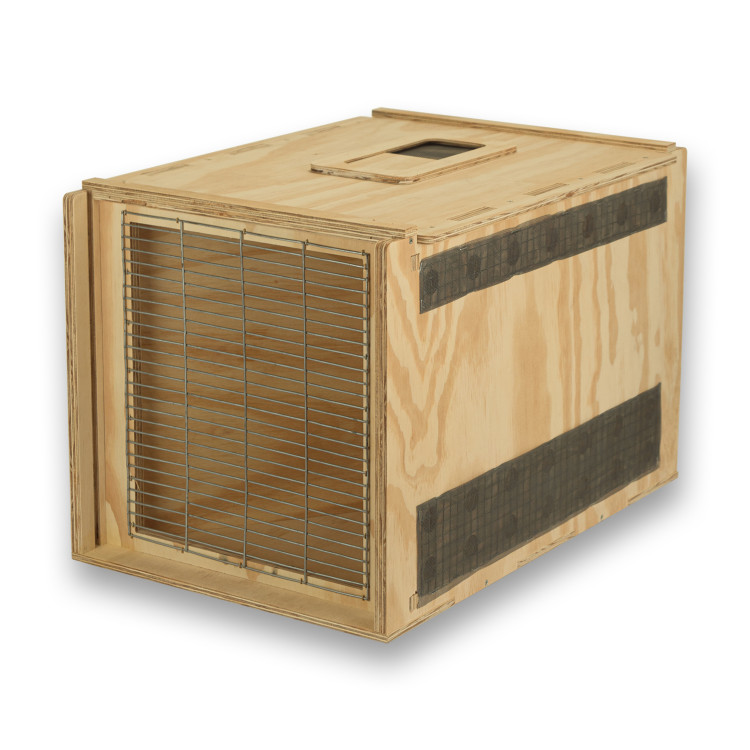 Transportín de madera Air Export Calm 75 con divisor para Aves Rapaces