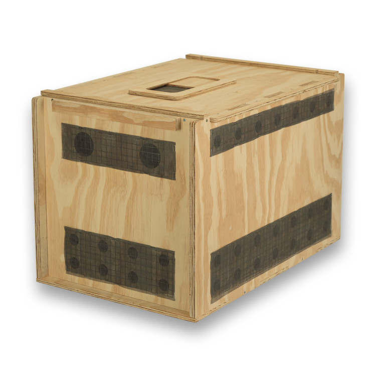 Transportín de madera Air Export Calm 75 con divisor para Aves Rapaces