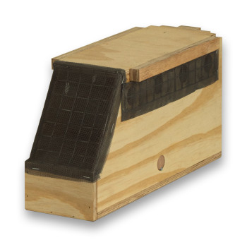 Transportín de madera Air Export Calm con 1 departamento para Ring Necks
