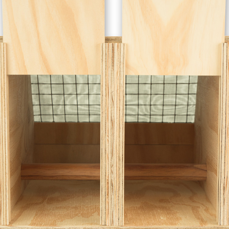 Transportín de madera Air Export Calm con 2 departamentos para Cacatúas