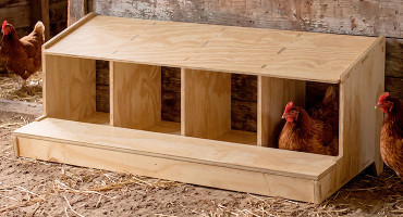 Nidos de madera para gallinas: ventajas y cómo elegir