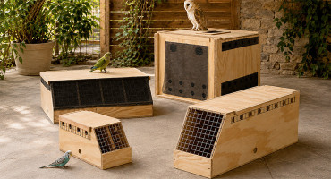 Transportines Air Export para aves: diferencias entre modelos y cómo elegir
